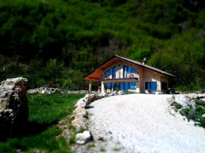  B&B Asinochevola  Arveaco